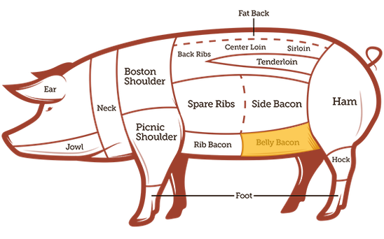 Diagram Belly Bacon